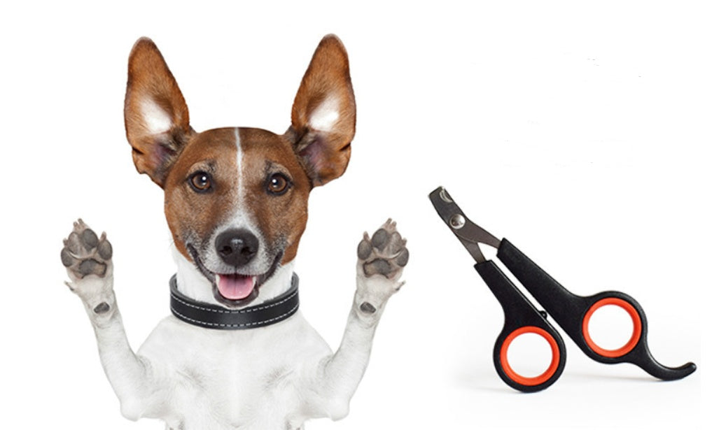 Dog Nail Clipper Pet Nail Scissors null